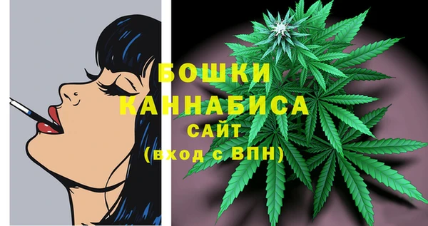 гидра Чита
