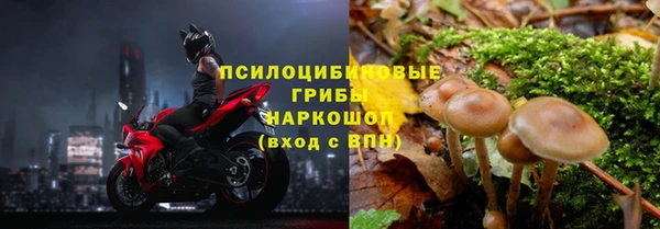 амф Красноперекопск